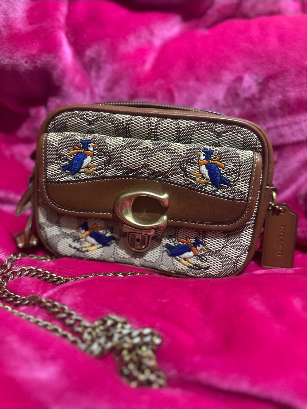 Coach Signature Canvas Embroidered Bird Crossbody - Brown